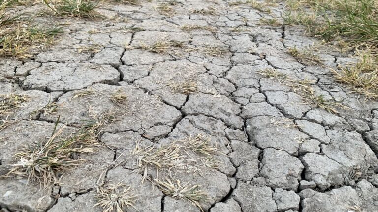 Alerte sécheresse : Eau 17 appelle les Rétais à réduire leur consommation d’eau