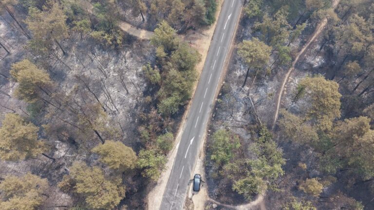 Prise de conscience des automobilistes face aux dégâts de l’incendie de Fontainebleau