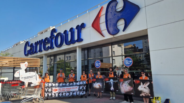 L214 interpelle Carrefour sur l’élevage intensif devant le magasin des Gratte-Ciel à Villeurbanne.