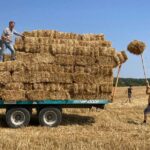 Loi d&rsquo;urgence agricole : des rassemblements en Bretagne dénoncent une législation contestée