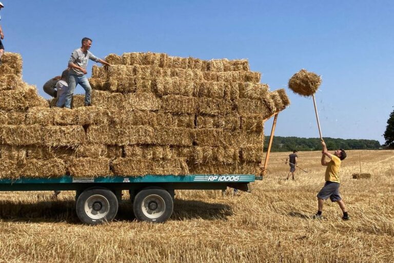 Loi d’urgence agricole : des rassemblements en Bretagne dénoncent une législation contestée