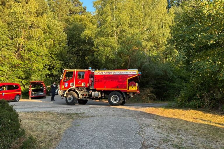 Feu de forêt en France : plus d’un hectare brûlé, 40 pompiers mobilisés près de la RN 57.
