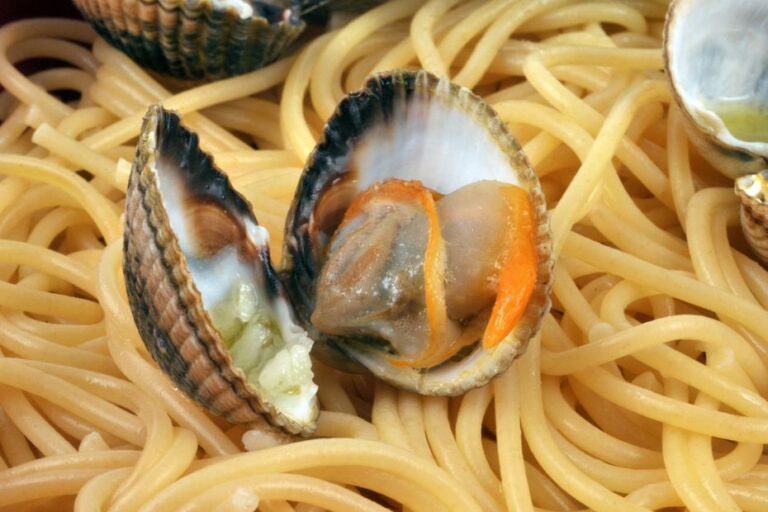 En Italie, la chaleur et la sécheresse menacent la culture des vongole et des moules.