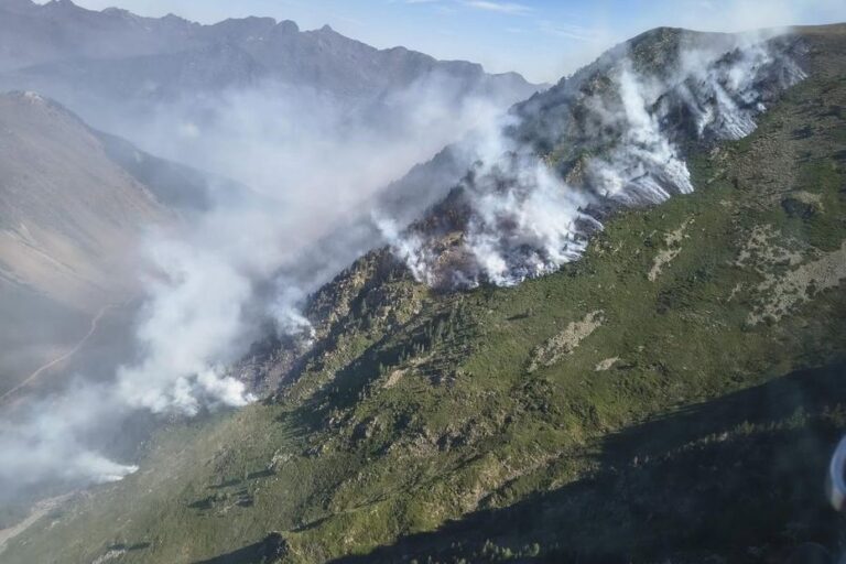 Incendie dans les Pyrénées : 20 hectares brûlés suite à un coup de foudre.