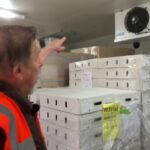 Fortes chaleurs : Banque alimentaire en difficulté face à des réfrigérateurs hors service.