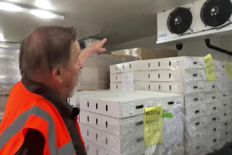 Fortes chaleurs : Banque alimentaire en difficulté face à des réfrigérateurs hors service.