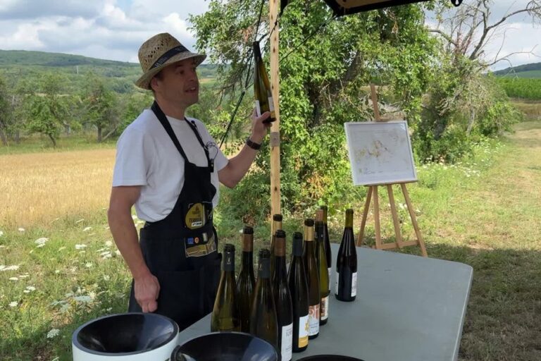 La Tournée des terroirs met en avant la richesse des vins d’Alsace et leur diversité.
