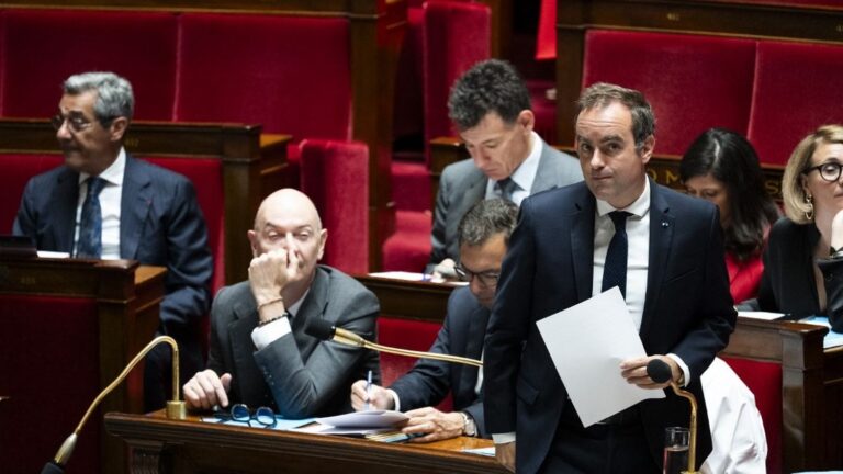 Le gouvernement français soumet la réintroduction de l’acétamipride au vote du Parlement.