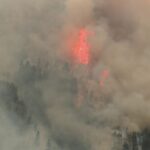 Incendies en France : 40 000 hectares détruits depuis le début de l’année