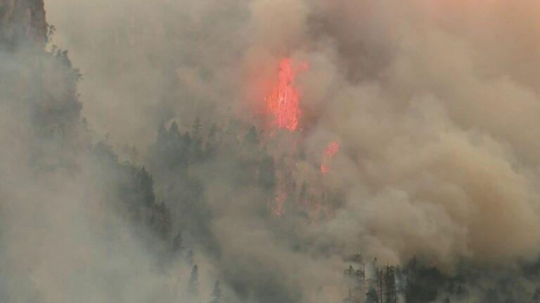 Incendies en France : 40 000 hectares détruits depuis le début de l’année