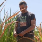 Sécheresse en France : prévisions de hausses de prix en rayon pour les récoltes agricoles.