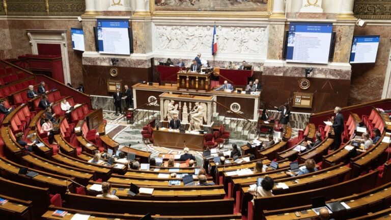 L’Assemblée nationale adopte le projet de loi d’urgence agricole avec dérogation sur les pesticides.