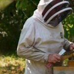 Retour de deux insecticides suscite la colère des apiculteurs en France