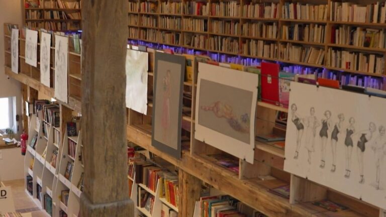 Fontenoy-la-Joûte, l’un des huit villages du livre en France, compte 10 bouquinistes pour 300 habitants.