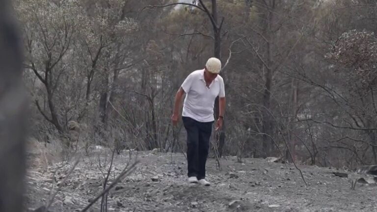 Incendie à Cotignac : le maire mobilisé face à la situation d’urgence dans le Var