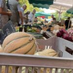 Augmentation de 10 % des prix des légumes en un an, selon Familles Rurales.