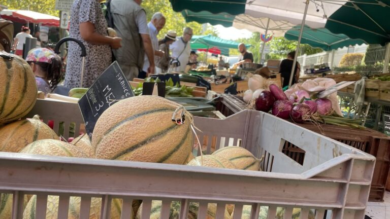 Augmentation de 10 % des prix des légumes en un an, selon Familles Rurales.