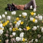 Règles de l&rsquo;art pour une sieste optimale : conseils de franceinfo pour améliorer le bien-être.
