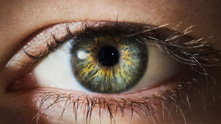 Les yeux clairs présentent une sensibilité accrue selon des études récentes.