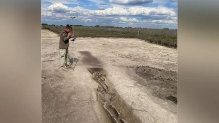 Des archéologues slovaques découvrent un camp romain, une trouvaille rare en archéologie.