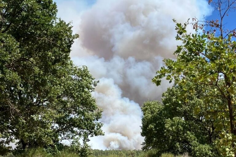 Incendie dans le Var : évacuations dans plusieurs communes suite à de nouveaux départs de feu.