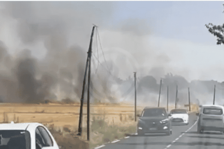 Incendie visible depuis le périphérique à Toulouse, des habitations menacées