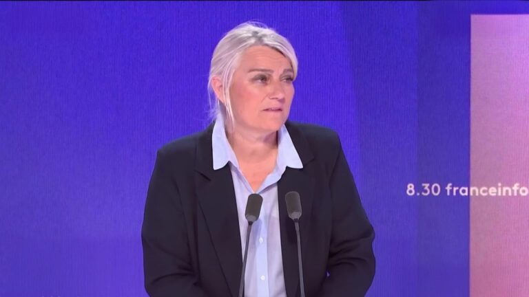Incendies et canicule : la France face à une crise sanitaire et environnementale.