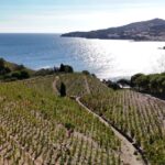 Lafage reprend le GICB de Collioure et Banyuls, validé par la justice pour sauver la coopérative.
