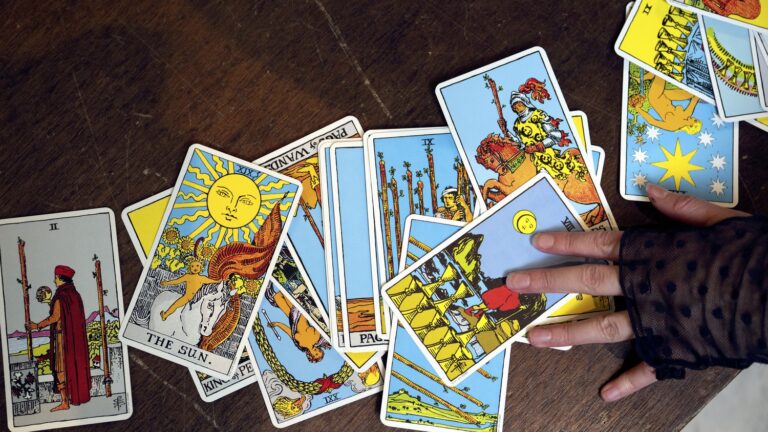 En Corée du Sud, le tarot pour animaux de compagnie attire un nombre croissant de propriétaires.