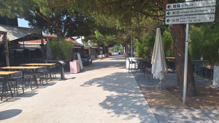 Feux en Gironde : l’Umih alerte sur les conséquences pour le tourisme local