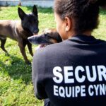Des chiens maltraités lors de formations d’agents de sécurité, une association alerte en France.