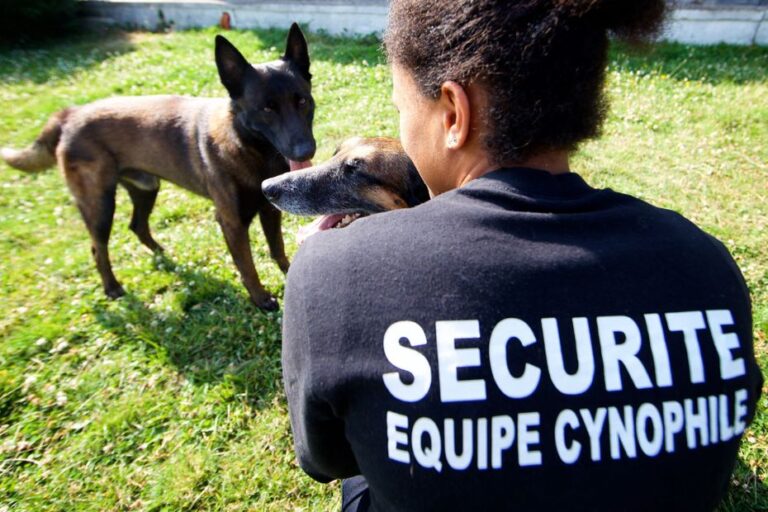 Des chiens maltraités lors de formations d’agents de sécurité, une association alerte en France.