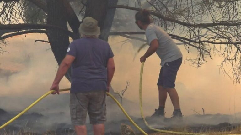 Incendie dans le Var : un nouveau feu menace plusieurs communes locales.