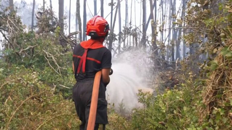 Incendie en Gironde : mesures de prévention pour éviter les reprises de feu