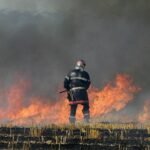 Incendies : un homme déjà condamné interpellé pour quatre nouveaux départs de feu