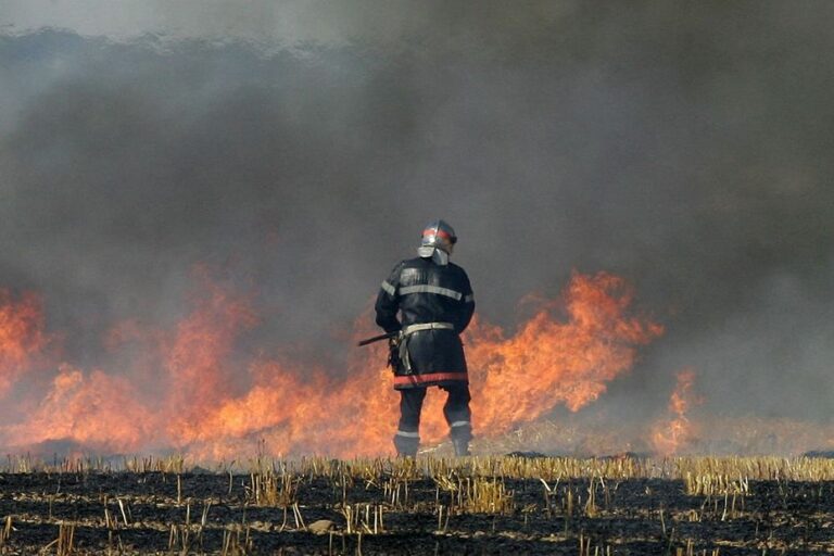 Incendies : un homme déjà condamné interpellé pour quatre nouveaux départs de feu