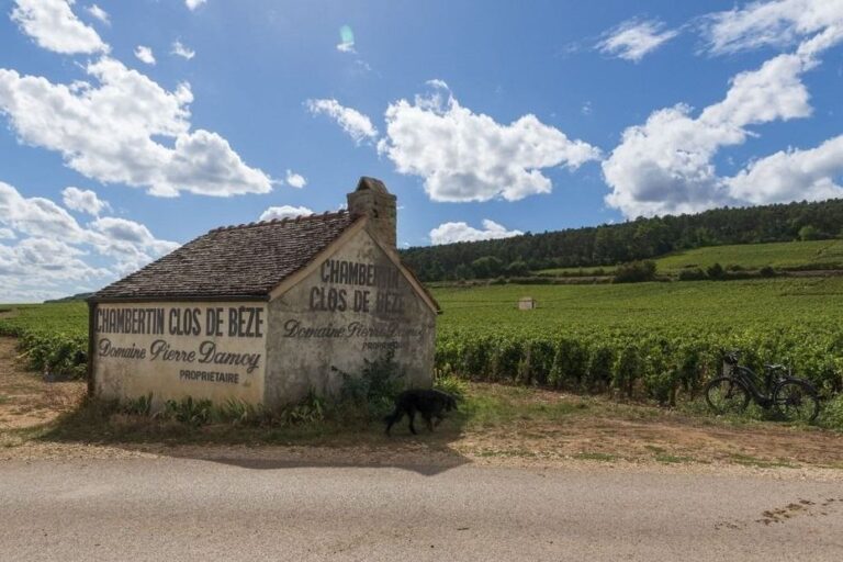 Louis Roederer acquiert le domaine Pierre Damoy à Gevrey-Chambertin pour 300 millions d’euros.