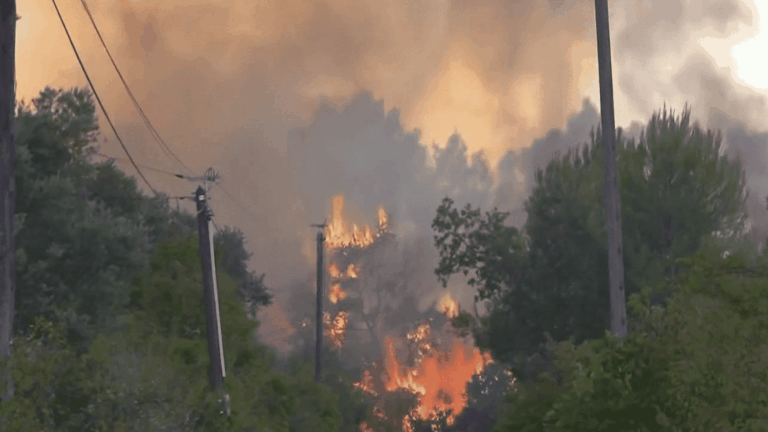 Lutte contre les incendies dans le Var : une situation sans précédent cette année