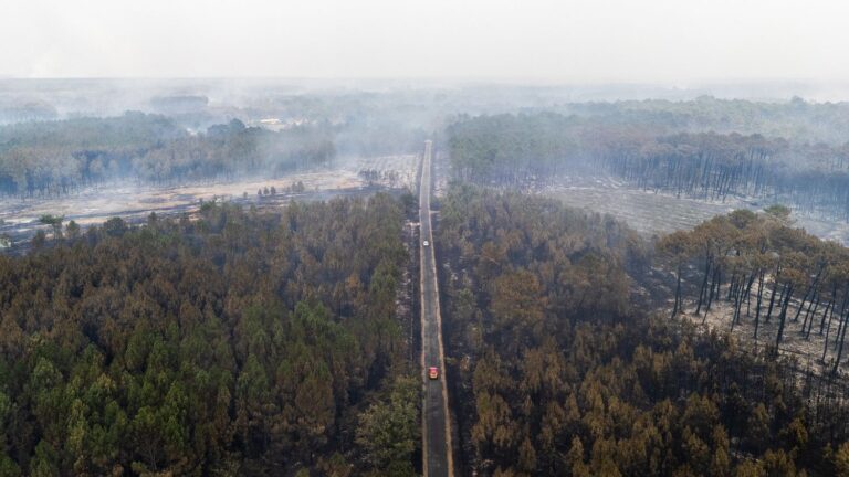 Incendies dans le Sud-Ouest : vitesse de circulation réduite dans huit départements pour pollution de l’air