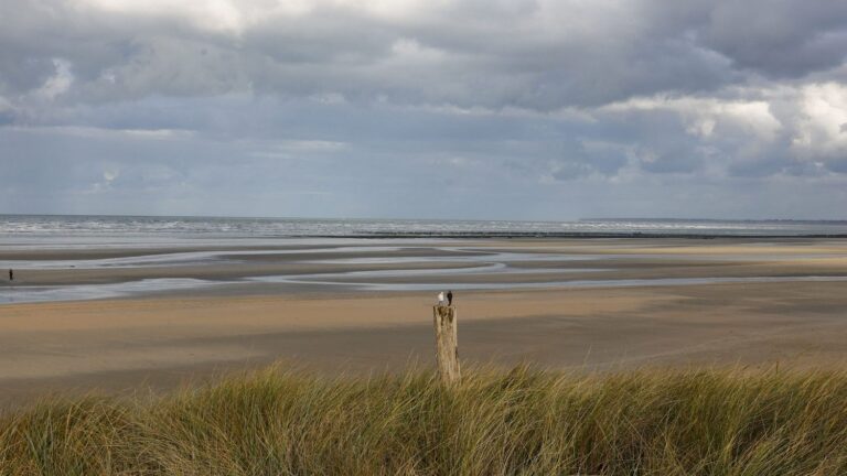 Les plages du Débarquement en Normandie reconnues par l’Unesco comme patrimoine mondial.
