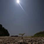 Sècheresse : le Vaucluse impose des restrictions d’usage de l’eau dans plusieurs communes.