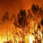 En Gironde, des habitants soutiennent les 2 500 pompiers face aux incendies.