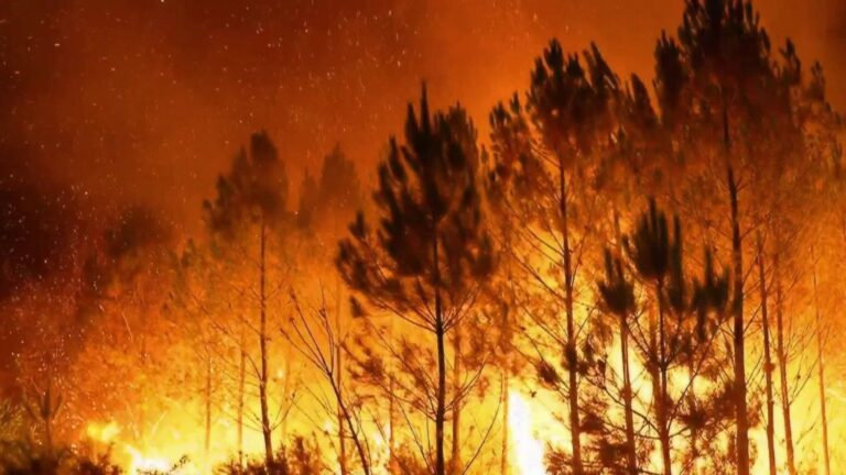 En Gironde, des habitants soutiennent les 2 500 pompiers face aux incendies.