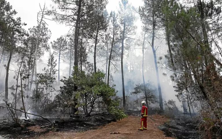Plus de 325 000 réfugiés en France et Espagne en raison des incendies près de Bordeaux.