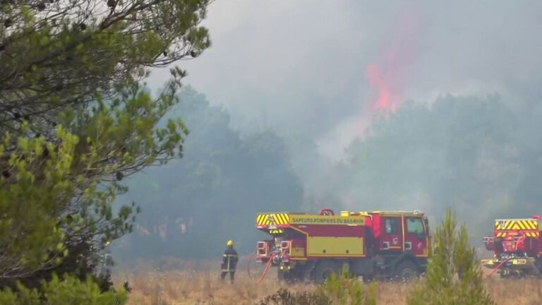 Incendies imprévisibles en Corse et dans le Var : les autorités en alerte