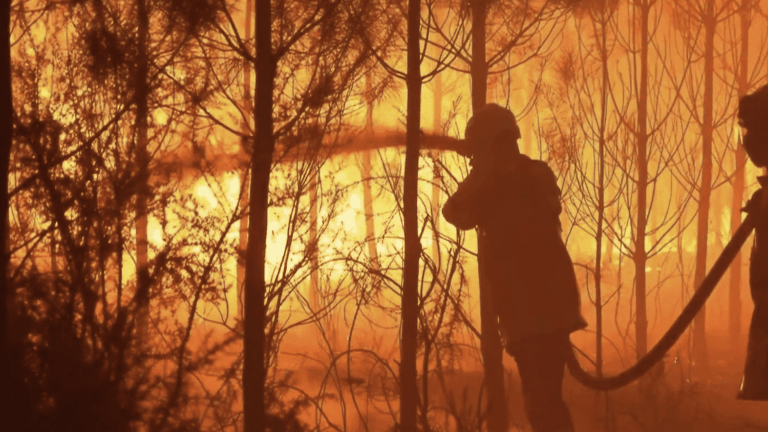 Incendies dans les Landes et la Gironde : quatre jours de lutte des pompiers face à des feux intenses