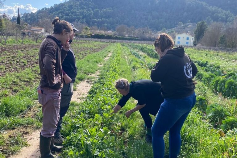 La Région suspend son soutien financier à l’agroécologie, des paysans en détresse.