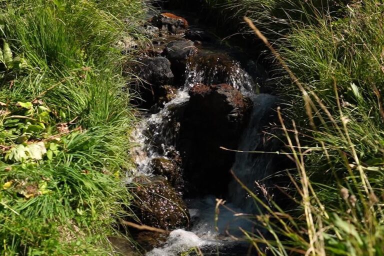 Des scientifiques analysent les cours d’eau pour améliorer l’accès à l’eau potable et à l’agriculture.
