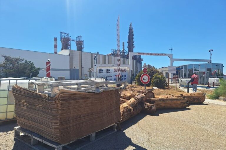 Liquidation de l’usine Fibre Excellence à Tarascon : 275 emplois supprimés et site bloqué.