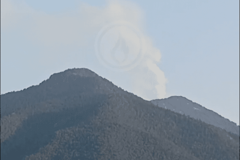 Incendie contenu dans les Pyrénées-Orientales, 50 hectares brûlés, secours mobilisés